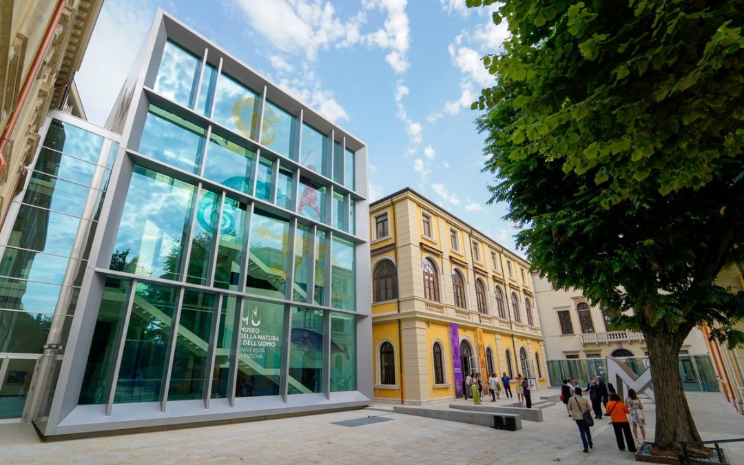 MNU opens in Padua: the largest university scientific museum in Italy